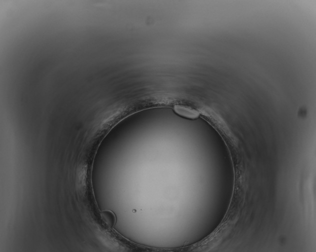 X0000097980066200804011754