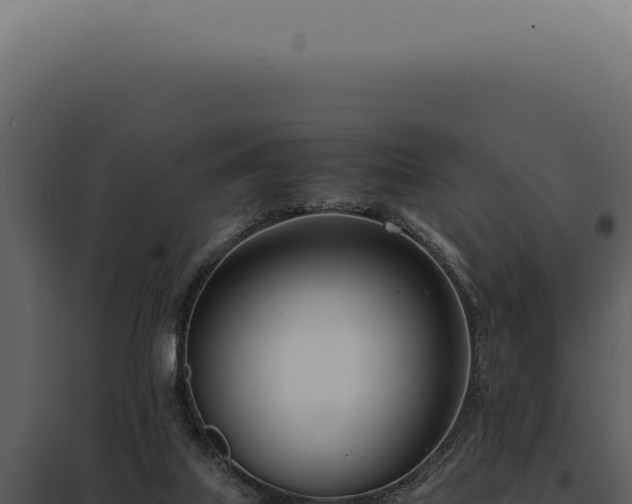 X0000097980067200804011754