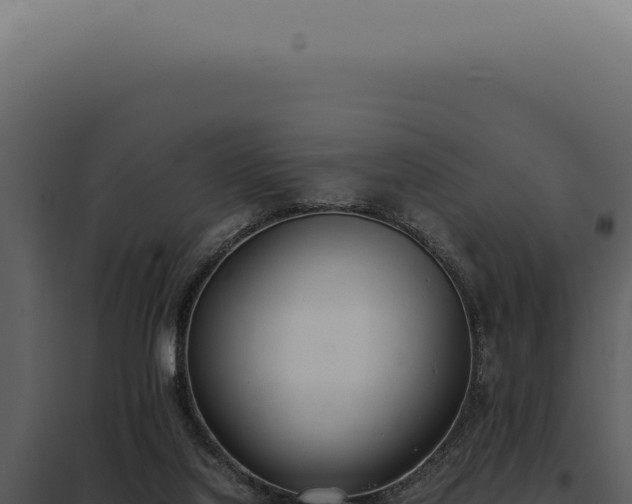 X0000097980068200804011754