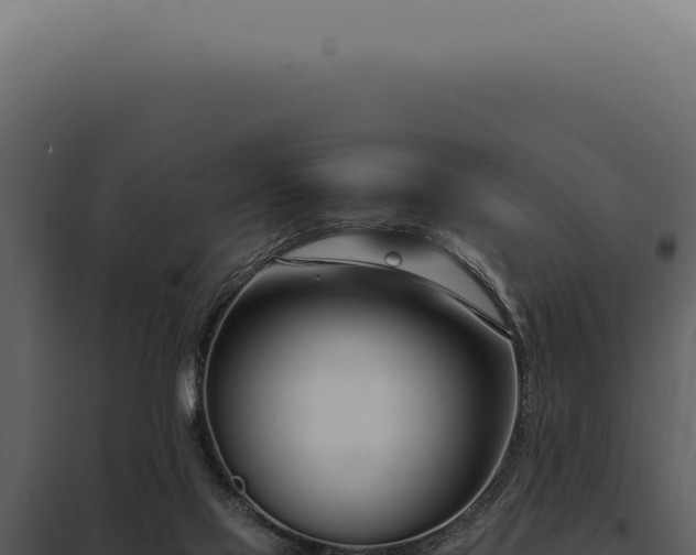 X0000097980069200804011754