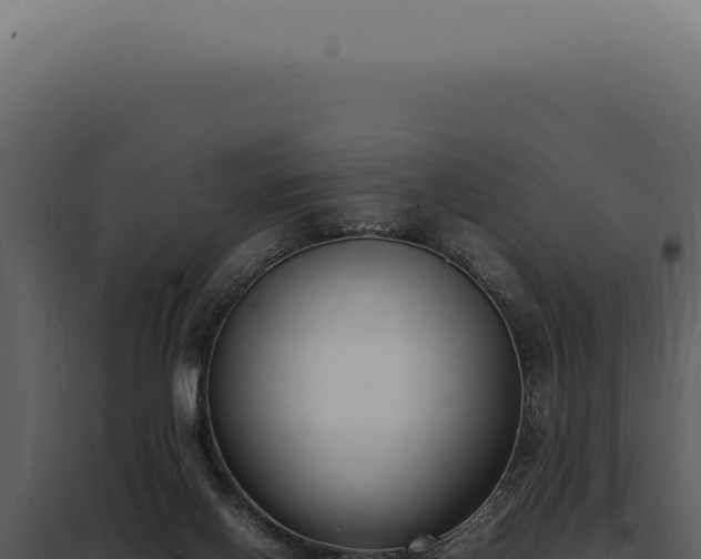 X0000097980070200804011754