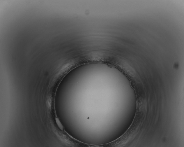 X0000097980072200804011754