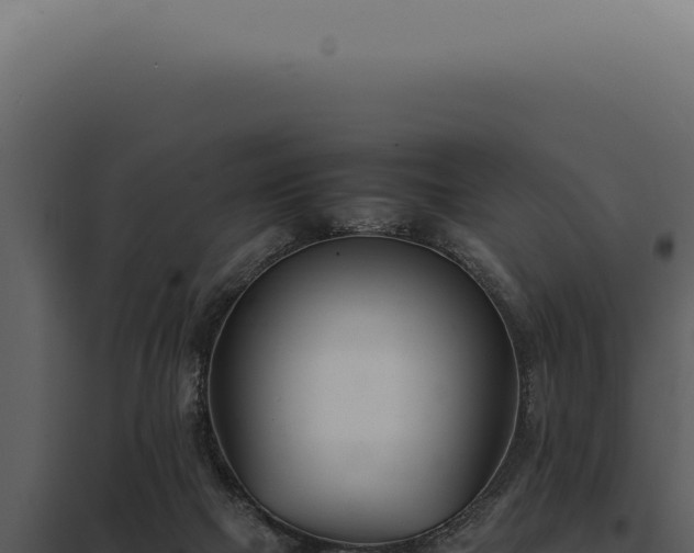 X0000097980073200804011754