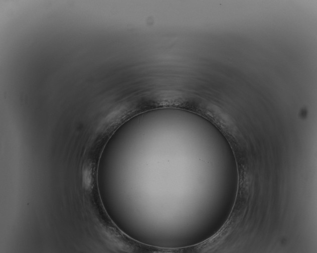 X0000097980074200804011754