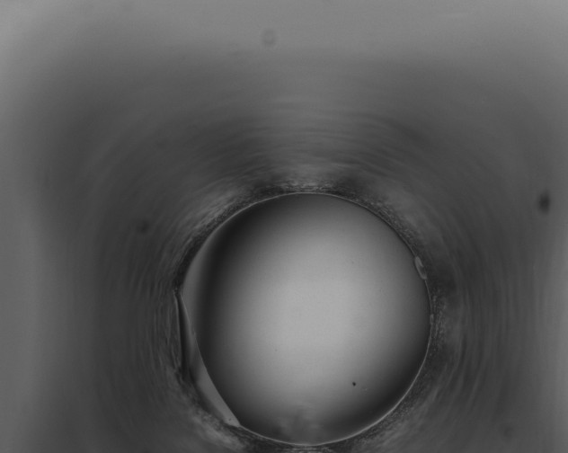 X0000097980076200804011754