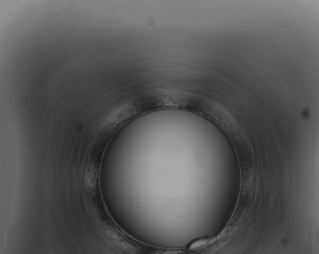 X0000097980078200804011754