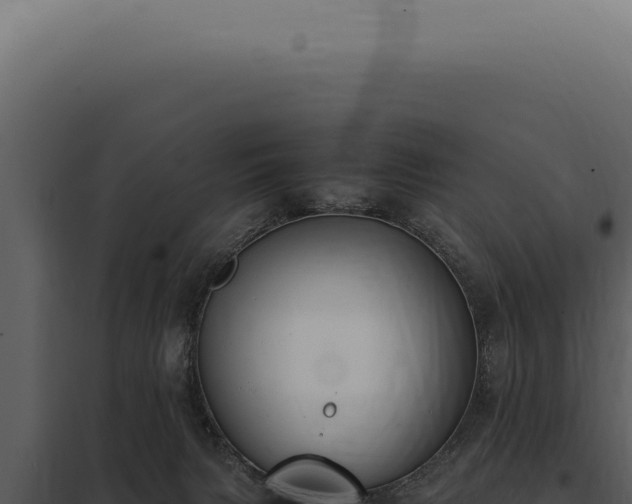 X0000097980079200804011754