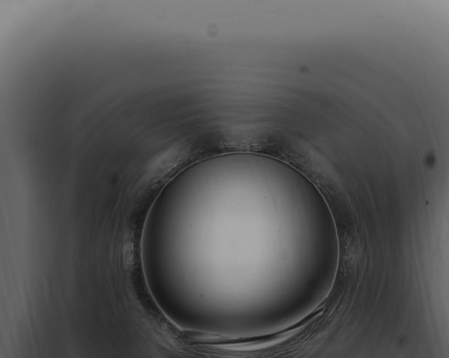 X0000097980080200804011754