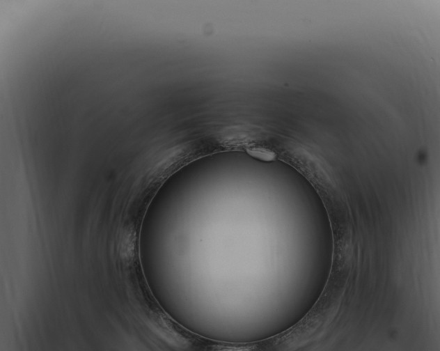 X0000097980081200804011754