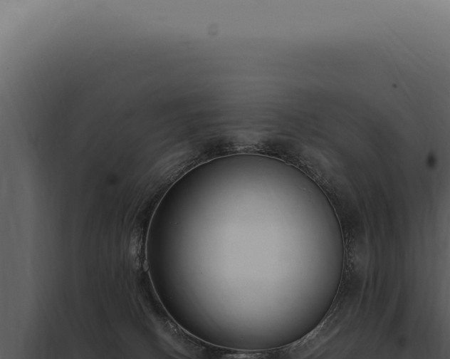 X0000097980082200804011754