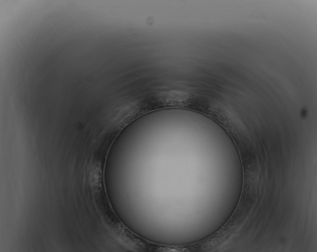 X0000097980083200804011754