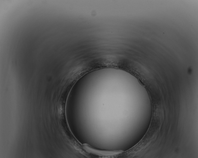 X0000097980084200804011754
