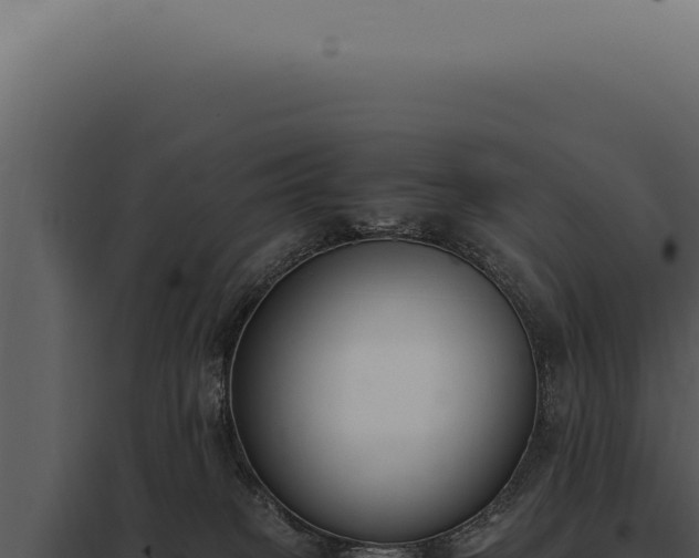 X0000097980085200804011754