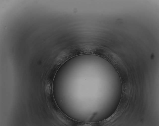 X0000097980086200804011754