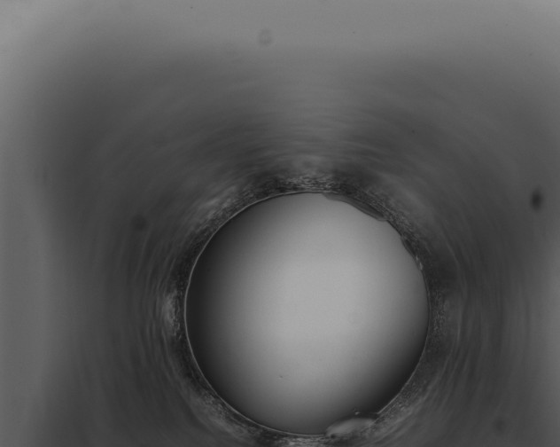 X0000097980088200804011754