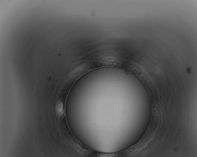 X0000097980089200804011754