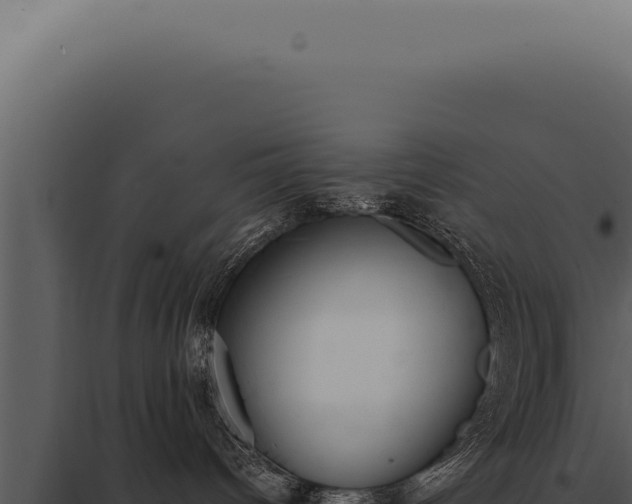 X0000097980096200804011755