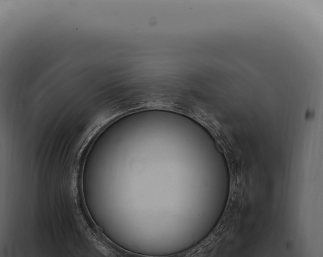X0000097980098200804011754