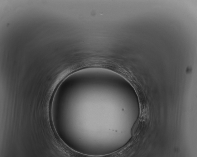X0000097980099200804011754