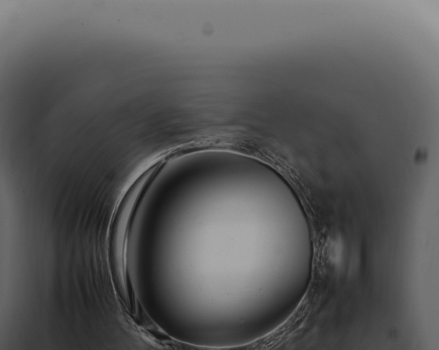 X0000097980100200804011754
