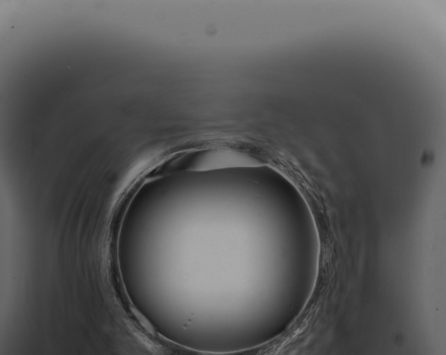 X0000097980101200804011754