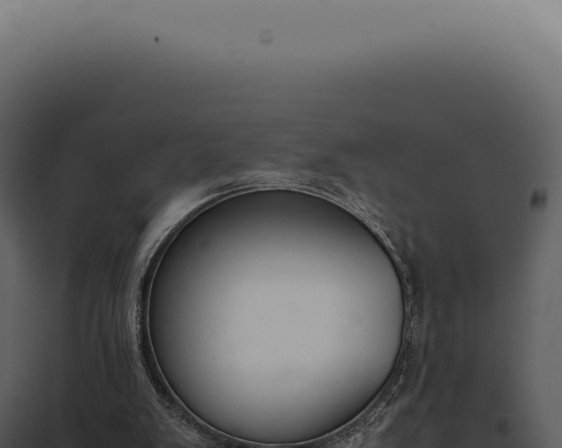 X0000097980103200804011754