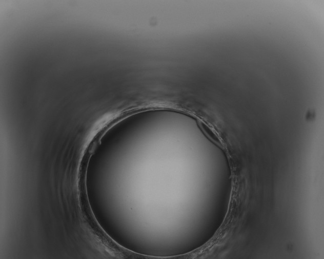 X0000097980104200804011754