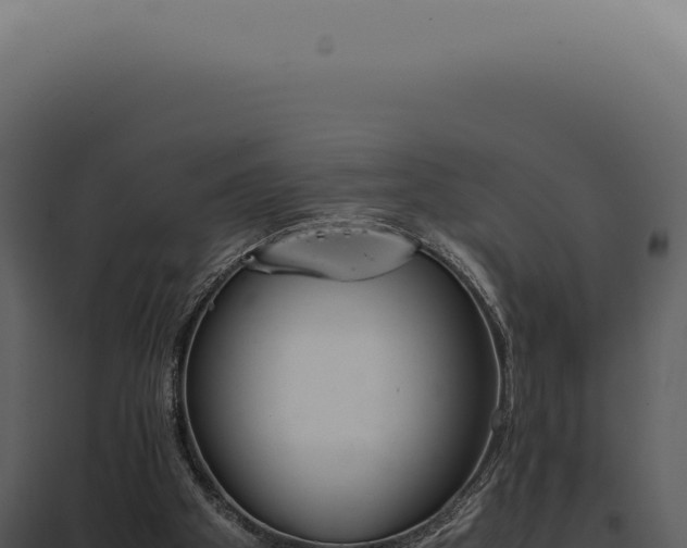X0000097980105200804011754