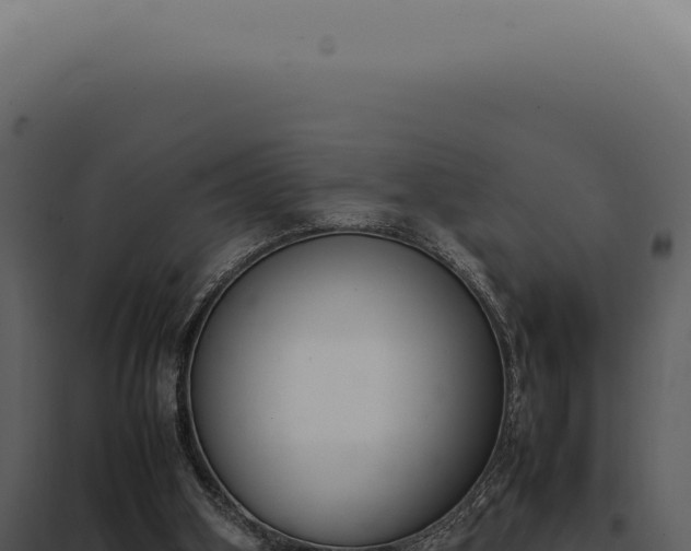 X0000097980106200804011754