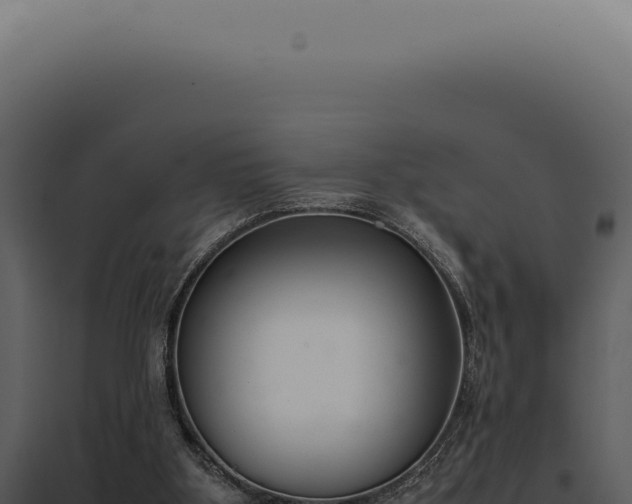 X0000097980107200804011754