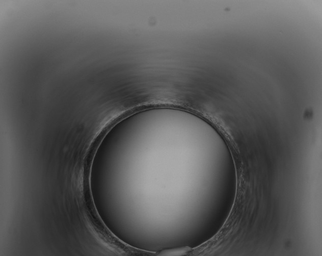 X0000097980108200804011754