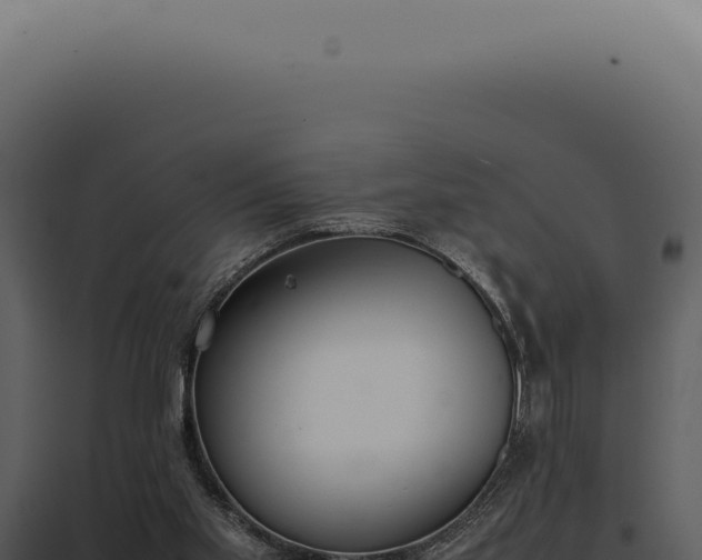 X0000097980109200804011754
