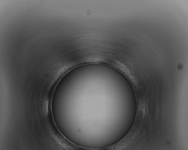X0000097980110200804011754