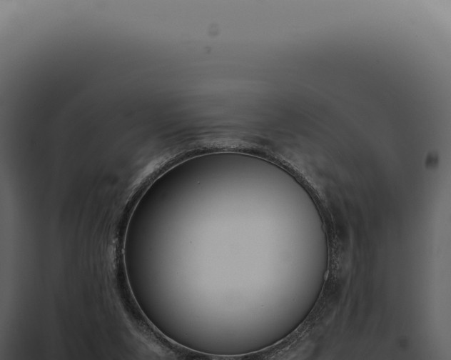X0000097980111200804011754
