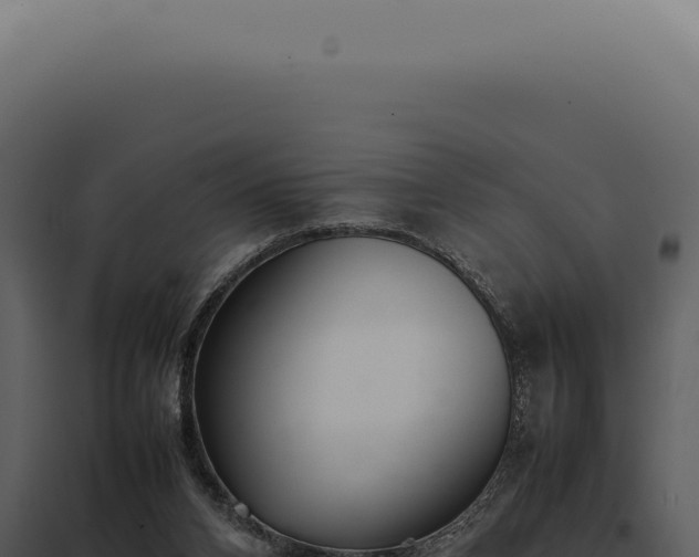 X0000097980112200804011753