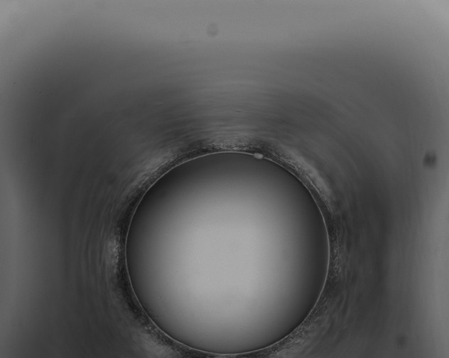 X0000097980113200804011753