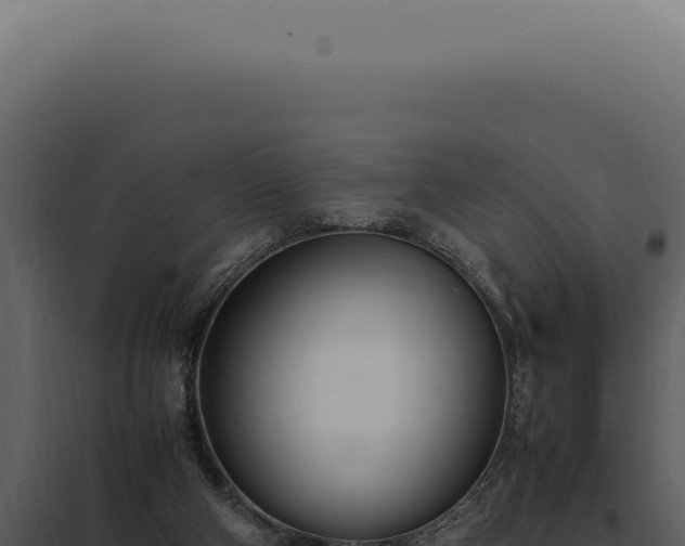 X0000097980114200804011753