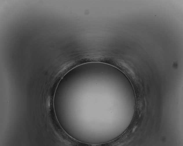 X0000097980115200804011753