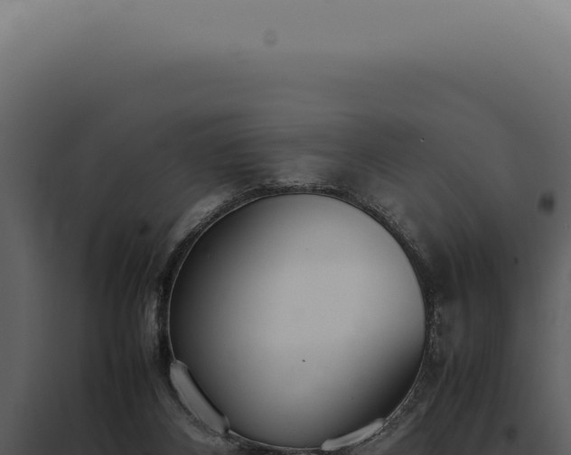 X0000097980116200804011753