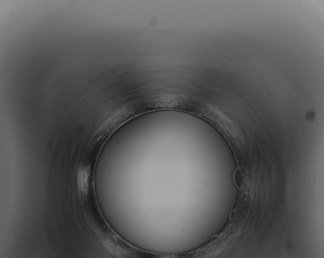 X0000097980118200804011753