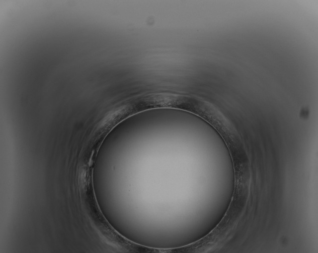 X0000097980119200804011753