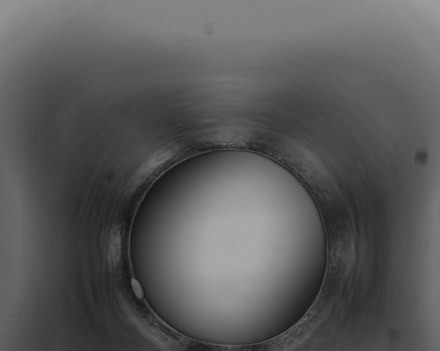 X0000097980120200804011753