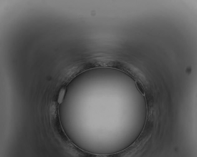 X0000097980121200804011753