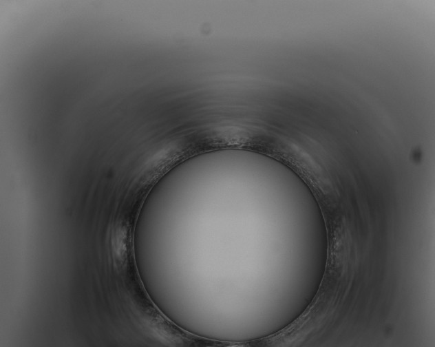 X0000097980122200804011753