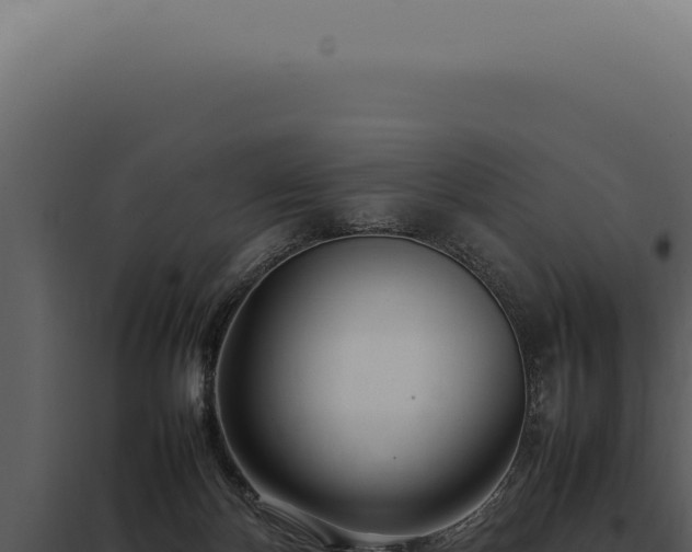 X0000097980124200804011753