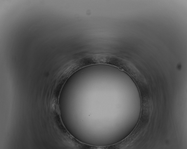 X0000097980125200804011753