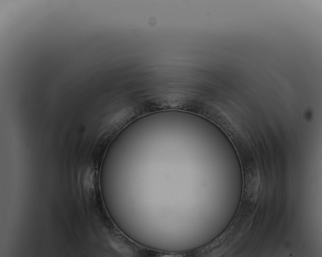X0000097980126200804011753