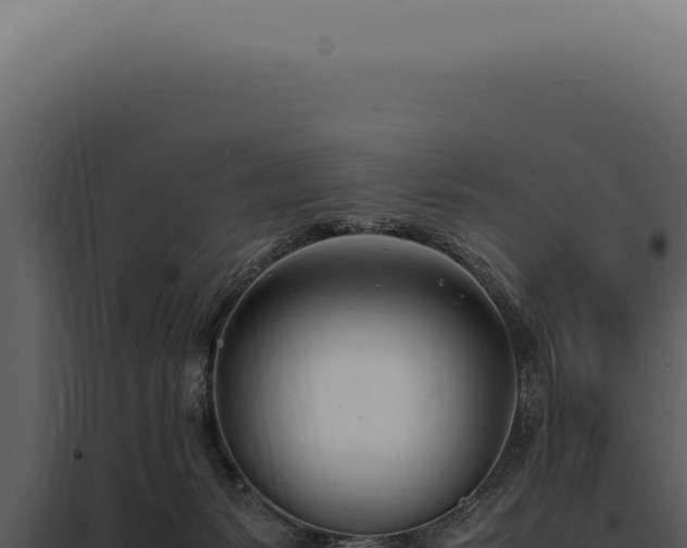X0000097980127200804011753
