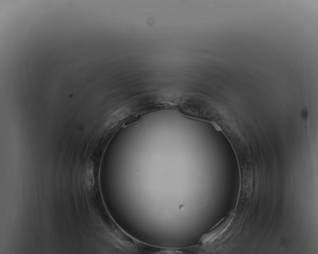 X0000097980128200804011753