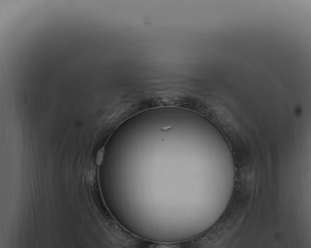 X0000097980129200804011753